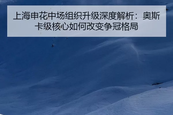 shang-hai-shen-hua-zhong-chang-zu-zhi-sheng-ji-shen-du-jie-xi-ao-si-ka-ji-he-xin-ru-he-gai-bian-zheng-guan-ge-ju-2-722.jpg